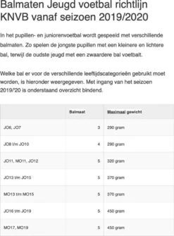 Derbystar Voetbal Brilliant Light DB Maat 5 -NIJDAM Sport & Spel Winkel 885x1200 2
